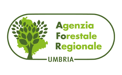logo_afor
